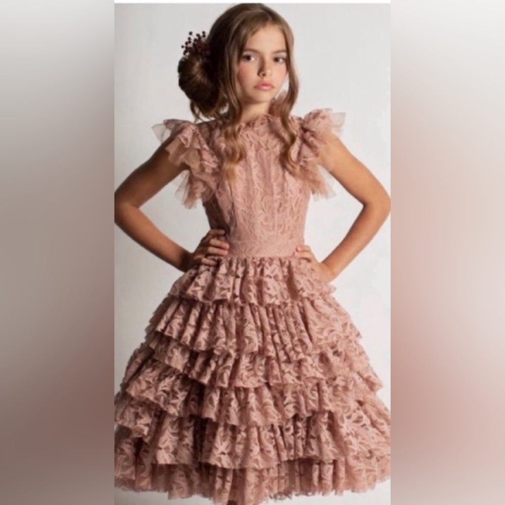 JOYFOLIE ANOUK PETTICOAT DRESS IN VINTAGE ROSE Size 10